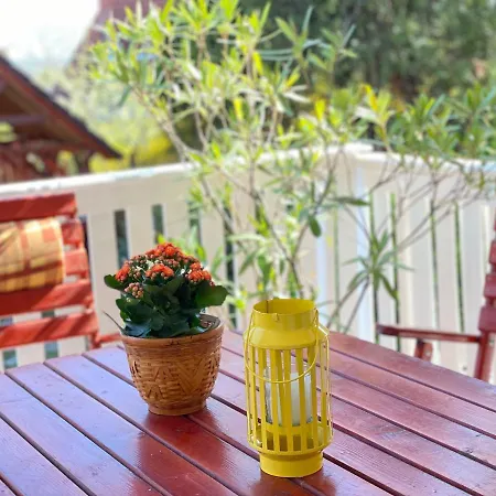 Ildiko Lak Hébergement de vacances Vonyarcvashegy