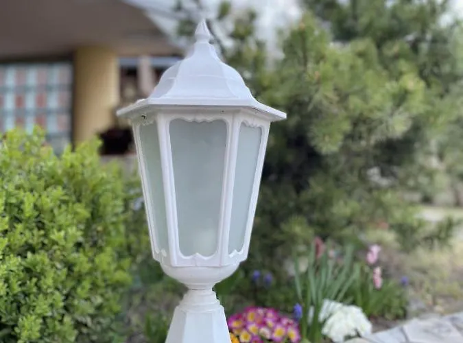 Ildikó Lak * Vonyarcvashegy